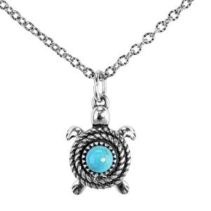 Sterling Silver Turquoise Necklace - American West